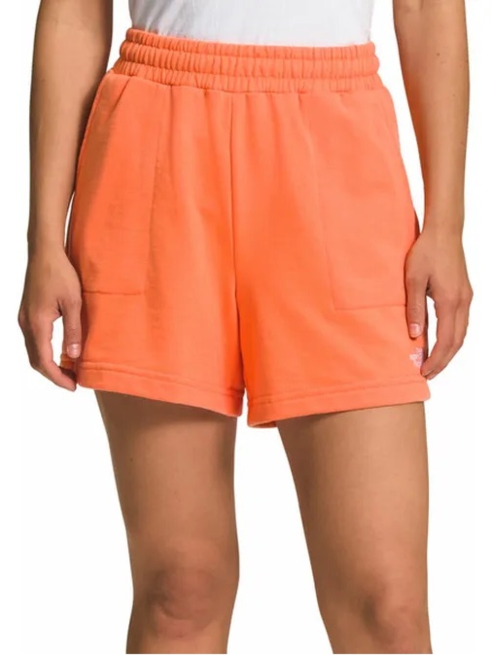 The Northface Shorts medium